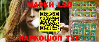 гидра Новозыбков
