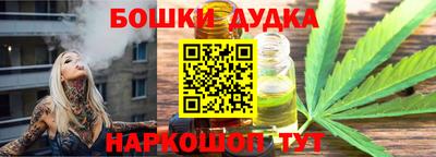 гидра Новозыбков