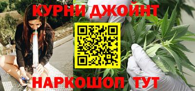гидра Новозыбков