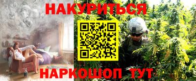 гидра Новозыбков