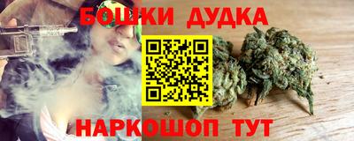 гидра Новозыбков