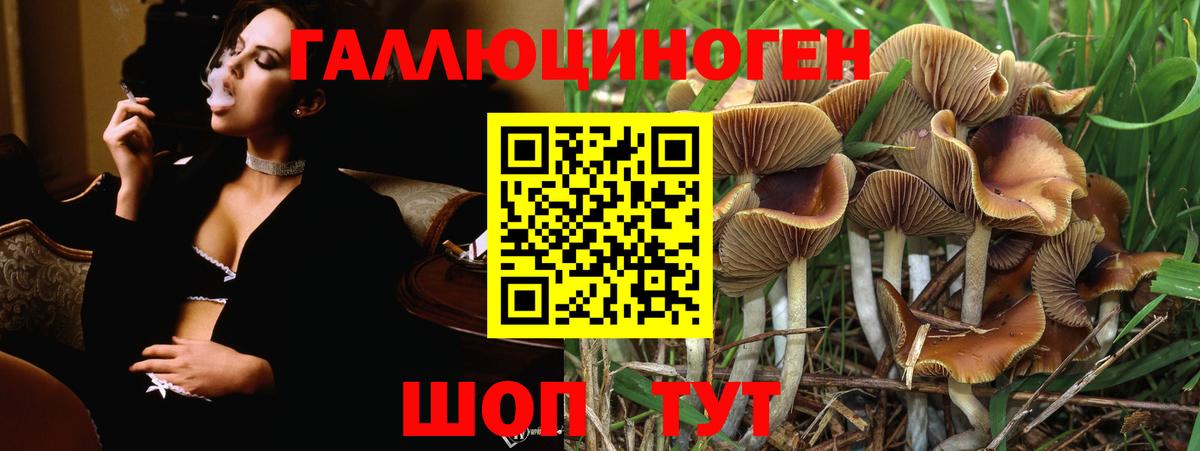 Томск  Псилоцибиновые грибы GOLDEN TEACHER  Галлюциногенные грибы Psilocybine cubensis  Вход с VPN 