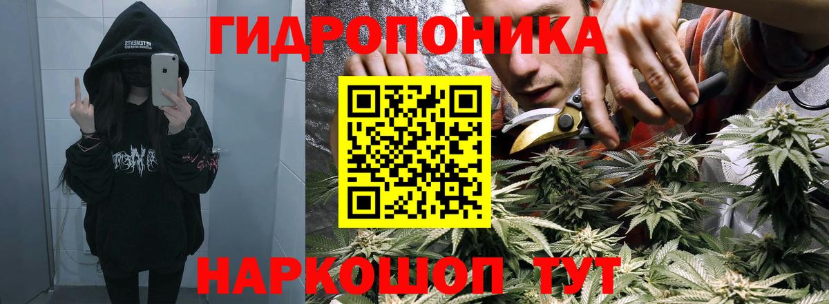 Бошки марихуана White Widow  Конопля марихуана  Вход с VPN  Томск 
